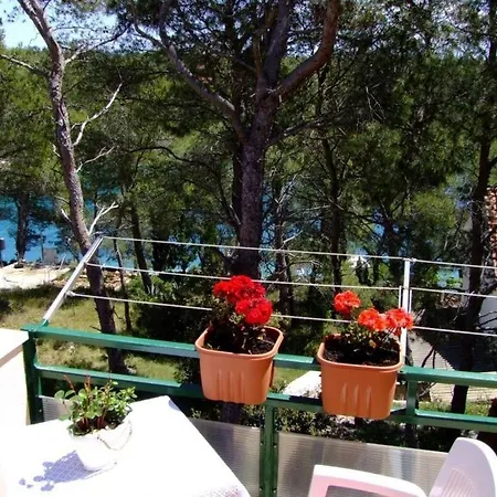 By The Sea Cove Osibova, Brac - 20663 公寓 米欧纳